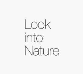 Look into Nature