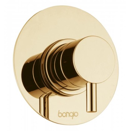 Встраиваемый смеситель для душа Bongio T Mix, цвет: золото