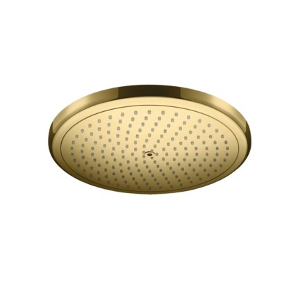 Hansgrohe Rainfinity Верхний душ 280 мм, цвет: полированное золото