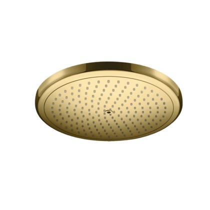 Hansgrohe Rainfinity Верхний душ 280 мм, цвет: полированное золото