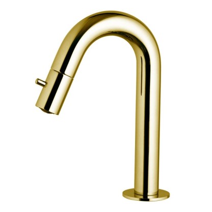 Fima Carlo Frattini Collettivit? Кран для раковины, на 1 отв., для холодной воды, цвет: золото