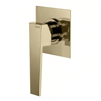 Bongio Stelth Смеситель для душа, встраиваемый, цвет: матированный никель (без встраиваемой части 09761)