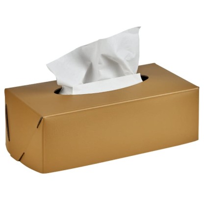 ADJ Салфетница Kleenex, 23x12xH7,5 см., цвет: горчичный/оливковый