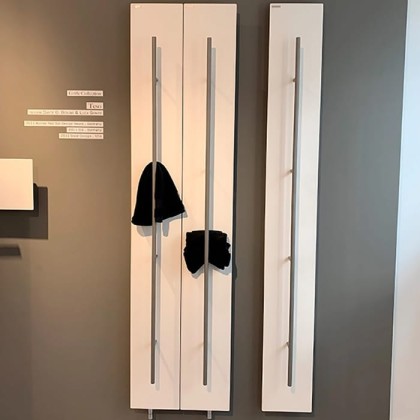 Antrax Teso Полотенцесушитель TESO 25x170Hсм электрический, рейлинг хром, цвет: белый матовый