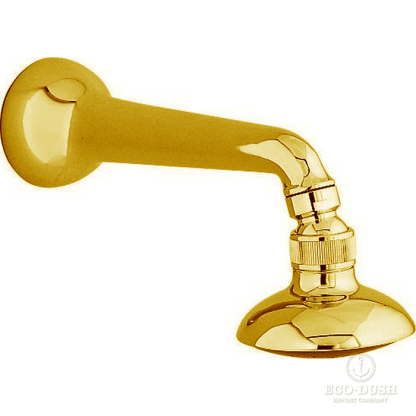 CISAL Arcana Душевая лейка для настенного крепления, цвет: золото