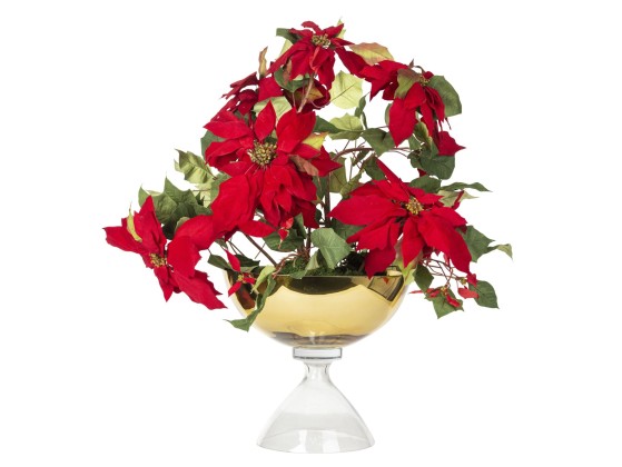 Ваза VGnewtrend BOWL ALICE RED STAR