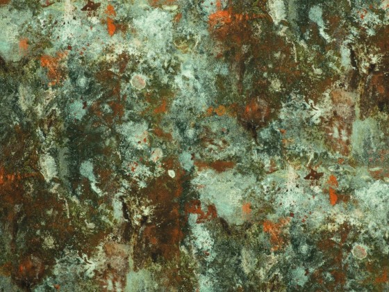 Ткани для стен LELIEVRE JEAN PAUL GAULTIER - OXYDATION