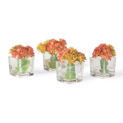 Ваза VGnewtrend ETERNITY SEDUM CUBE