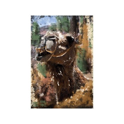 Акустические стеновые панели MOMENTI MO-001