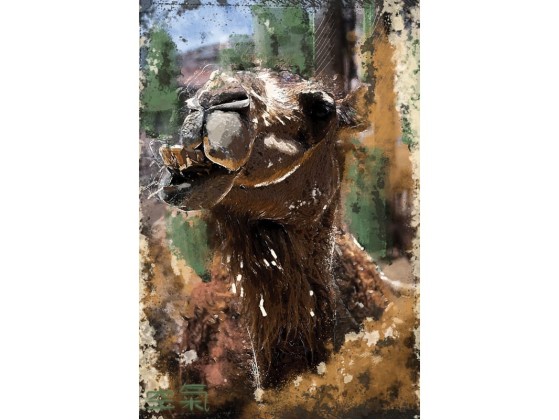 Акустические стеновые панели MOMENTI MO-001