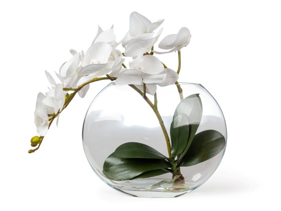 Ваза VGnewtrend ETERNITY OVAL