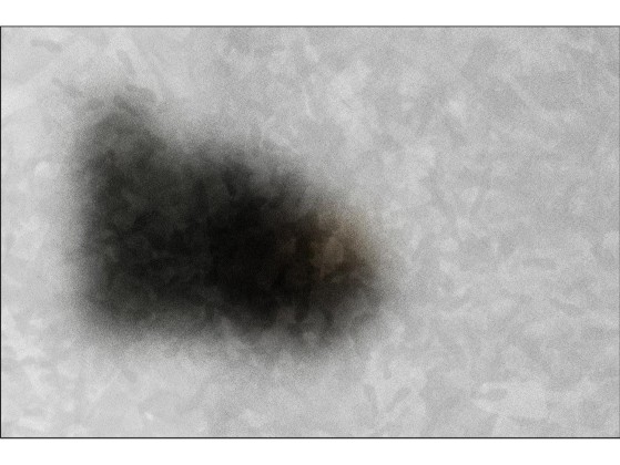 Ковер VIDAME EDITIONS BLUR 30