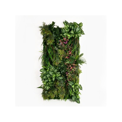 Рамы с декоративными растениями VGnewtrend MINDO