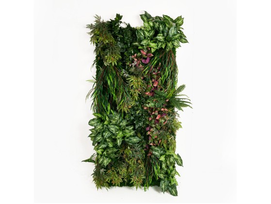 Рамы с декоративными растениями VGnewtrend MINDO