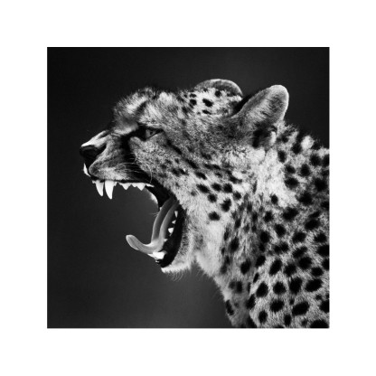 Акустические стеновые панели MOMENTI LB-007