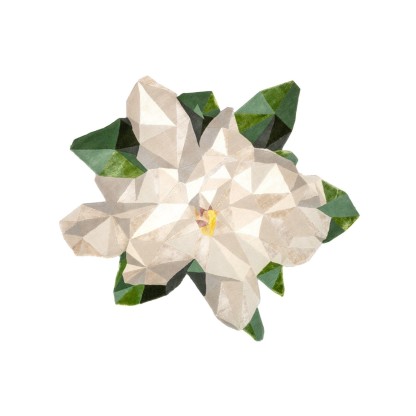 Ковер Illulian FLORIS MAGNOLIA