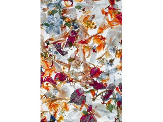 Акустические стеновые панели MOMENTI ED-018