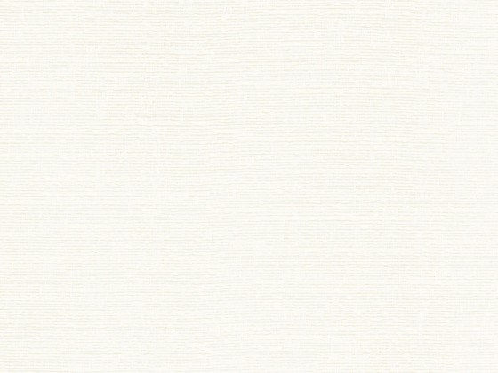 Ткань для штор Rubelli NONOISE