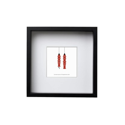 Рамка для фото cartea DESIGN FRAME - FALKLAND