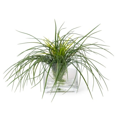 Ваза VGnewtrend ETERNITY SQUARE