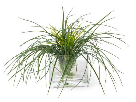 Ваза VGnewtrend ETERNITY SQUARE