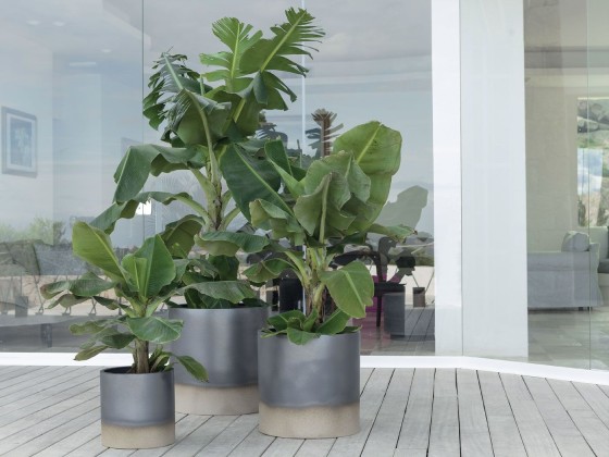 Ваза - кашпо для сада Pot a Porter PALM BEACH