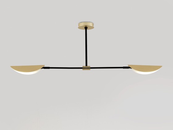 Потолочные светильники Aromas del Campo FICUS