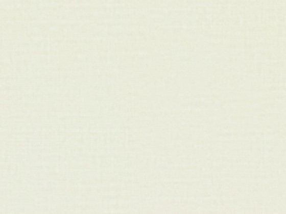 Ткань для штор Rubelli SHADOW