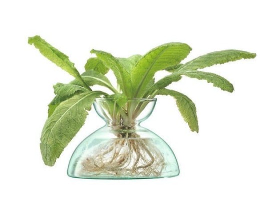 Ваза LSA CANOPY CQ08 / CQ09