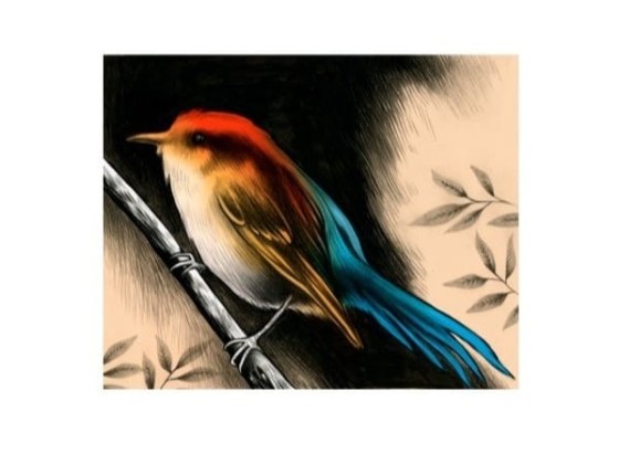 Акустические стеновые панели Moroso ROMEO