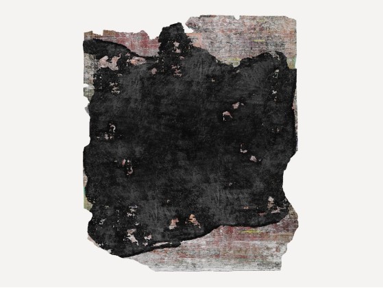 Ковер HENZEL STUDIO WOODROW (ALTA VISTA NIGHT RAW ICE CUT)