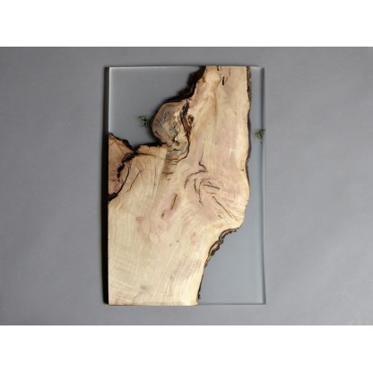 Картина alcarol UNDERGROWTH LAYER WALL ART