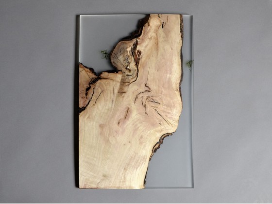 Картина alcarol UNDERGROWTH LAYER WALL ART