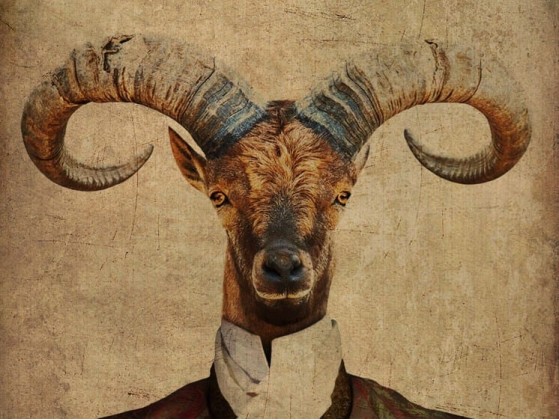 Акустические стеновые панели MOMENTI EB-011