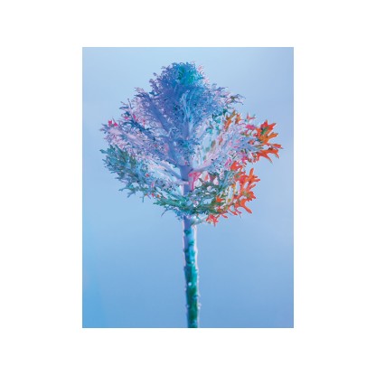 Акустические стеновые панели MOMENTI ED-002