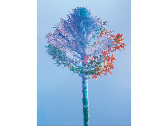 Акустические стеновые панели MOMENTI ED-002