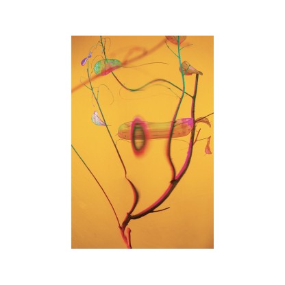 Акустические стеновые панели MOMENTI ED-011