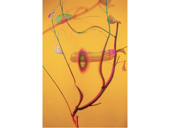 Акустические стеновые панели MOMENTI ED-011