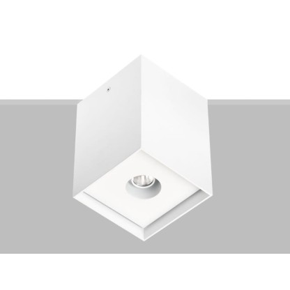 Потолочные светильники Flexalighting ARIK 10