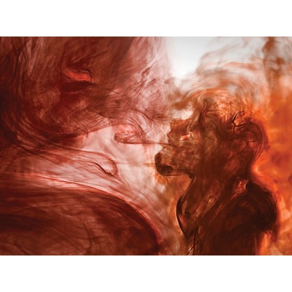 Фотографии Alidem #7