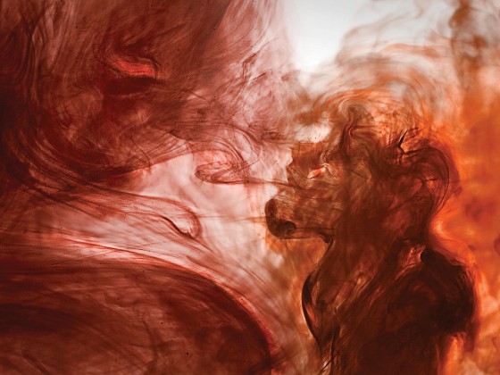 Фотографии Alidem #7