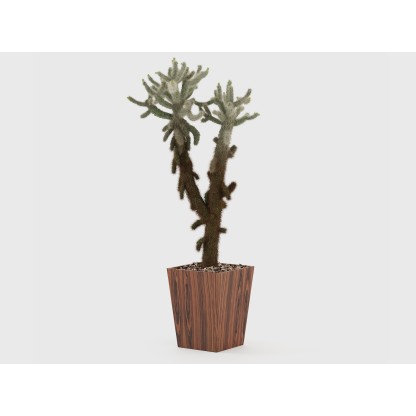 Ваза Laskasas POPPY