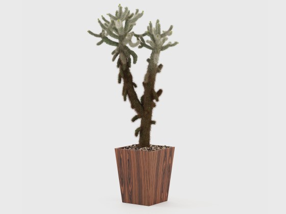 Ваза Laskasas POPPY