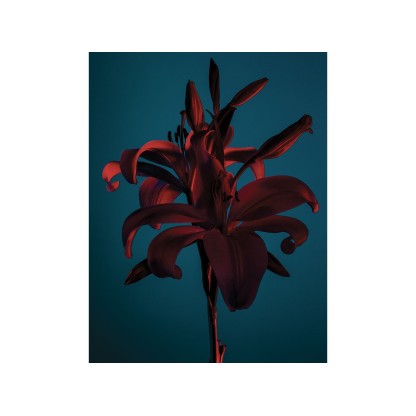 Акустические стеновые панели MOMENTI ED-001