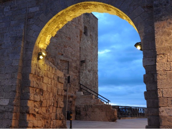 Настеннопотолочные светильники Neri TYL