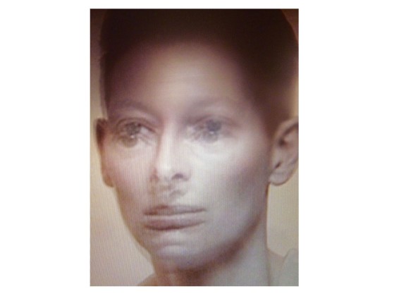 Садовый коврик HENZEL STUDIO TILDA SWINTON