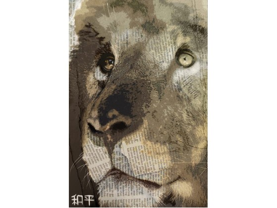 Акустические стеновые панели MOMENTI MO-002