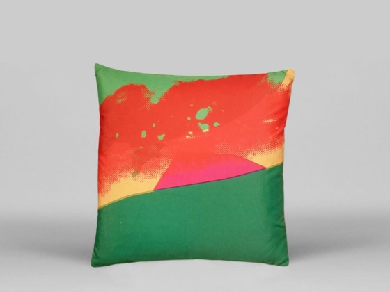 Диванные подушки HENZEL STUDIO ANDY WARHOL - AW04