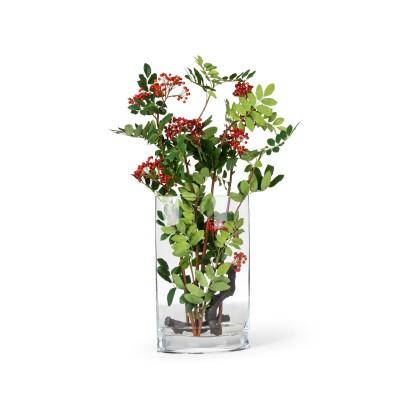 Ваза VGnewtrend ETERNITY VASE TEAR BERRIES