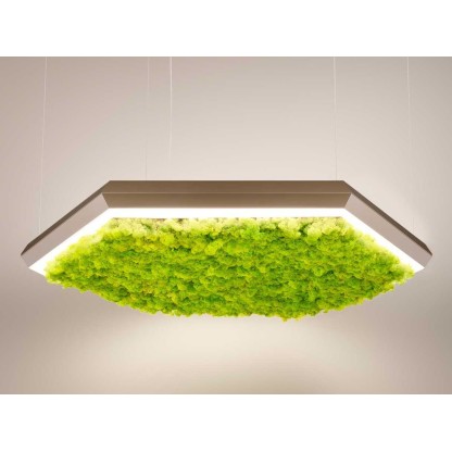 Подвесные светильники Olev EXAGON SILENCE GREEN